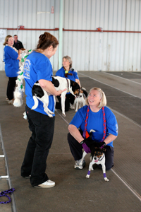 Deb and Solo (back right) will start, 2nd to run is Sue with Nellie (back left), Sally runs Anna 3rd (front right), and Mel finishes with Hannah (front left)