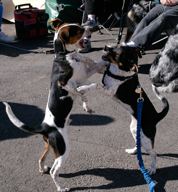 Cooper and Anna Dance