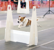 Target Jumps