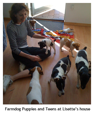 Lisette's House with Farmdogs