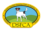 DSFCA