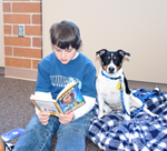 Frisco, Reading to the Dogs