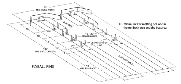 Flyball Ring setup