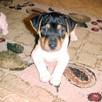 Bernie at 6 weeks