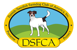 DSFCA Logo