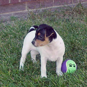 Emma at 6 weeks