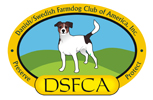 DSFCA