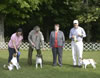 10-04325