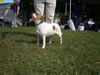 Hilde 10-04BF02